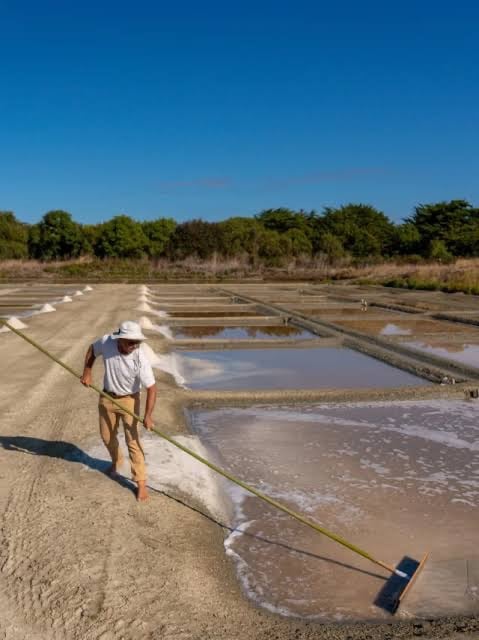 Saunier travaillant dans les marais salants