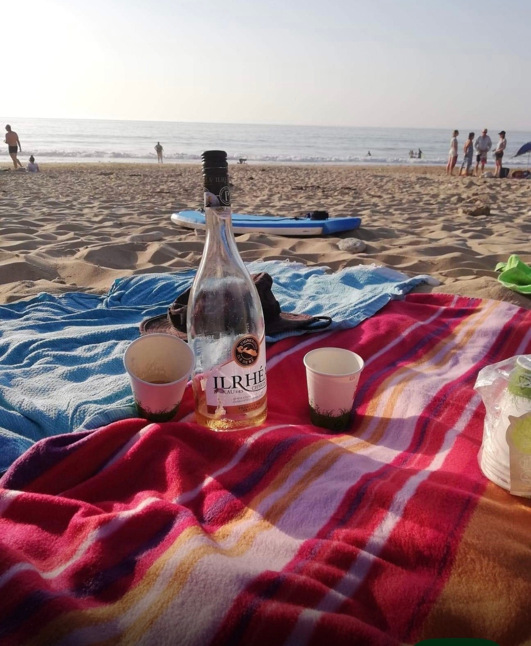 Pique-nique sur la plage