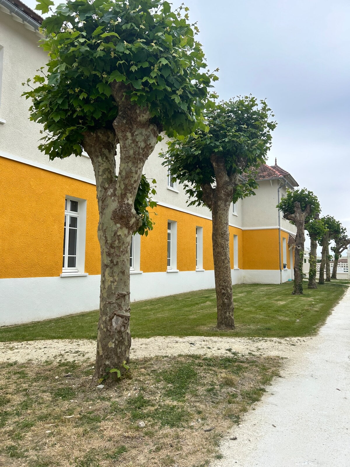 Allée arborée de la Maison Heureuse