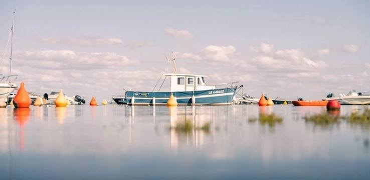 Estran découvert à marée basse
