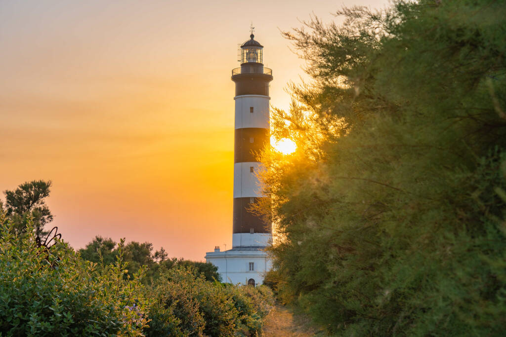 Phare de Chassiron dans la lumière dorée du soleil couchant