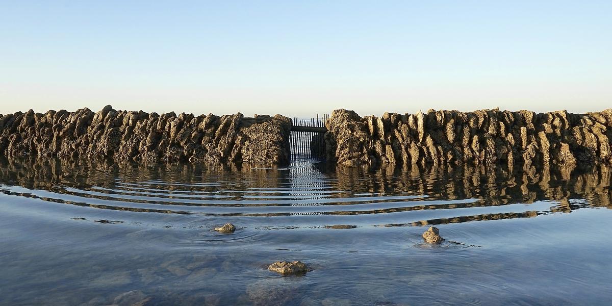 Écluse à poissons en pierre découverte par la marée sur l’Île de Ré