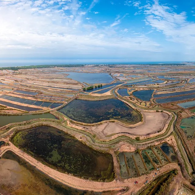 Vue aérienne du Fier d’Ars et de ses marais façonnés par les chenaux