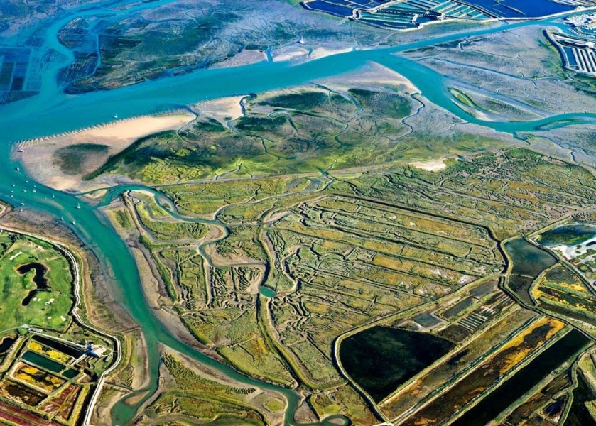 Vue aérienne des chenaux, vasières et anciens marais salants de Lilleau des Niges