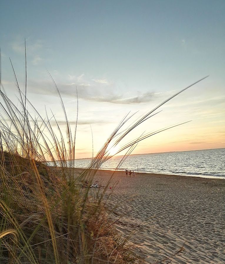 Plage de sable derrière la dune au coucher du soleil
