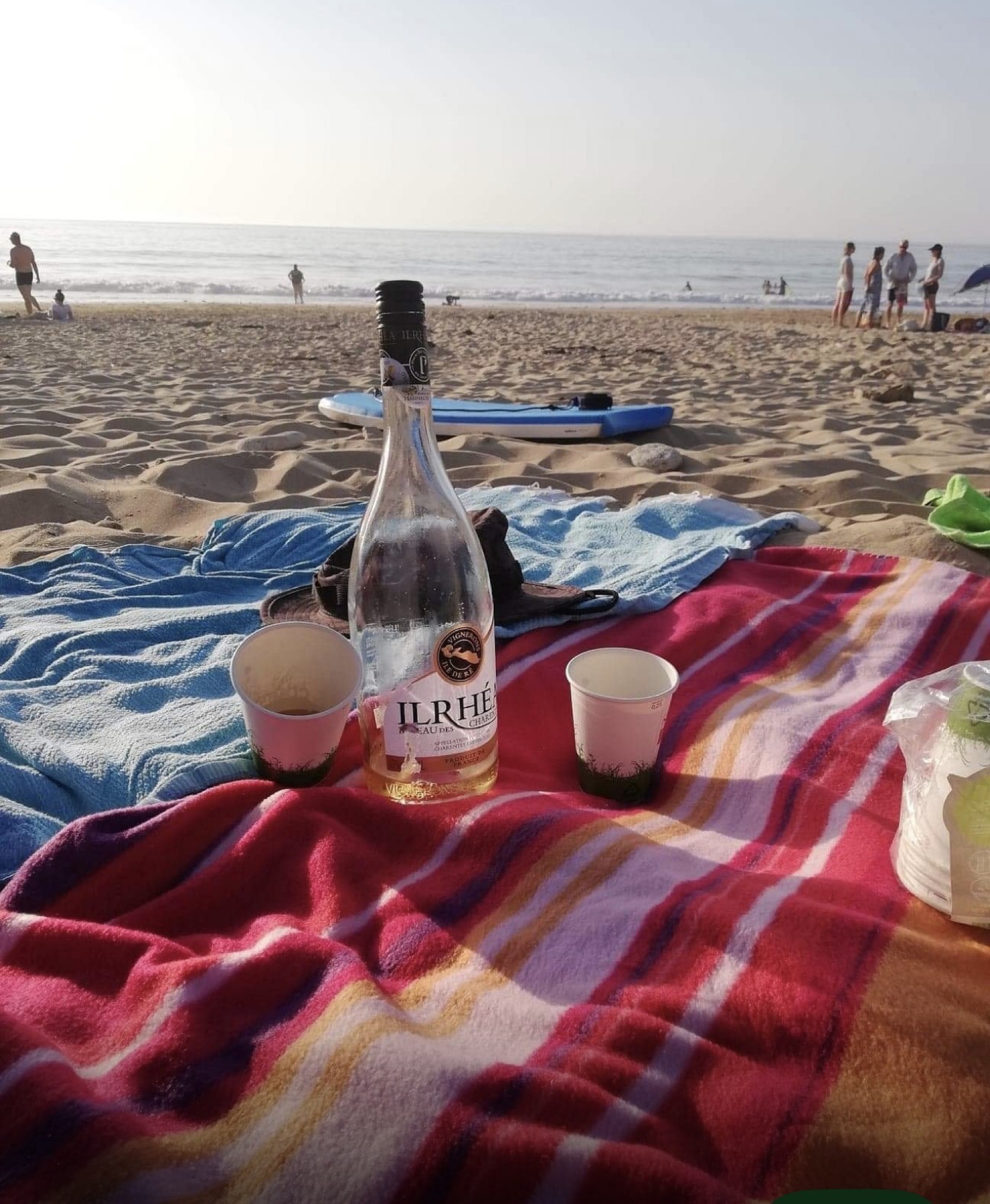 Pique-nique estival sur la plage face à l’océan