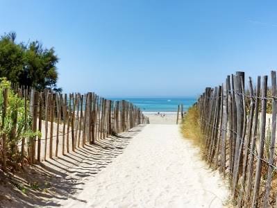 Chemin de sable entre les ganivelles menant à l’océan en été