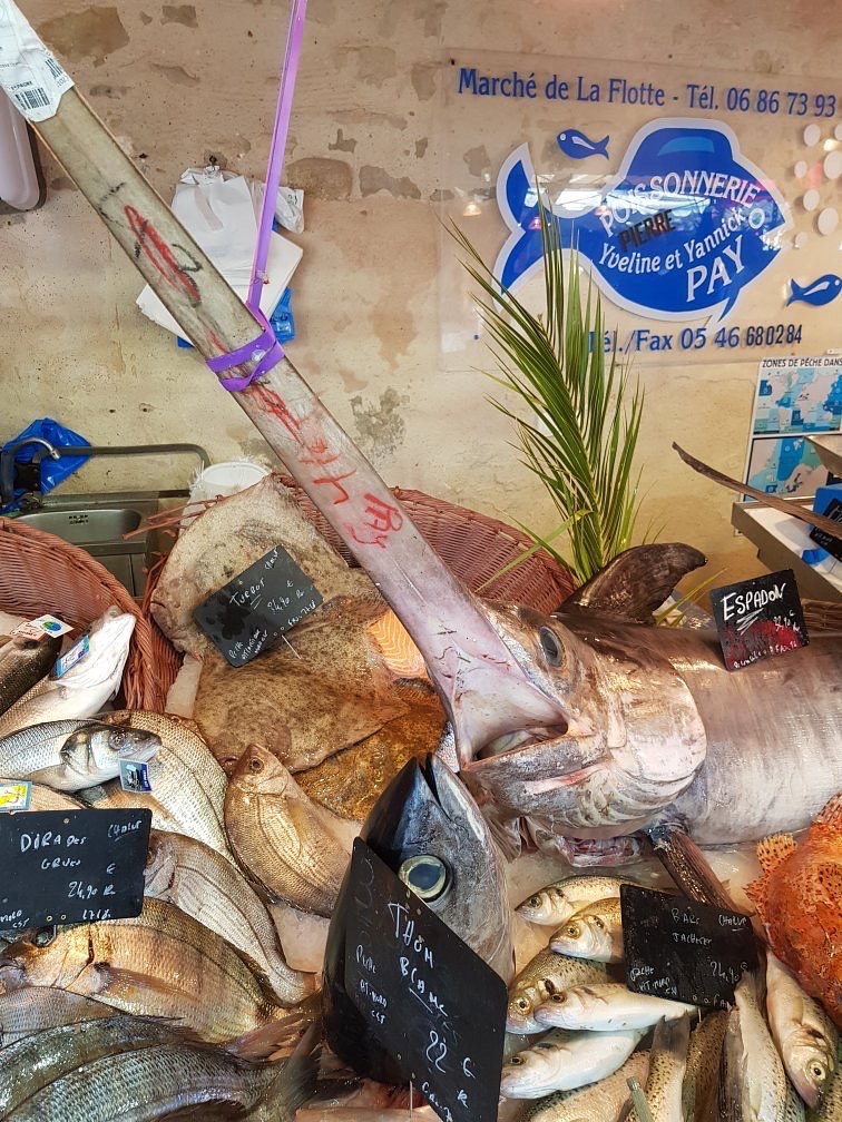 Poissons frais et espadon au marché