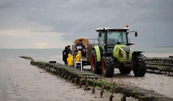 Ostréiculteurs en vêtements de pluie sur l’estran sous un ciel d’hiver