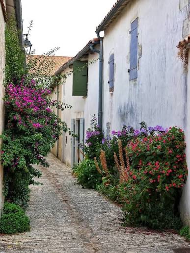 Ruelle fleurie d’un village de l’Île de Ré au printemps