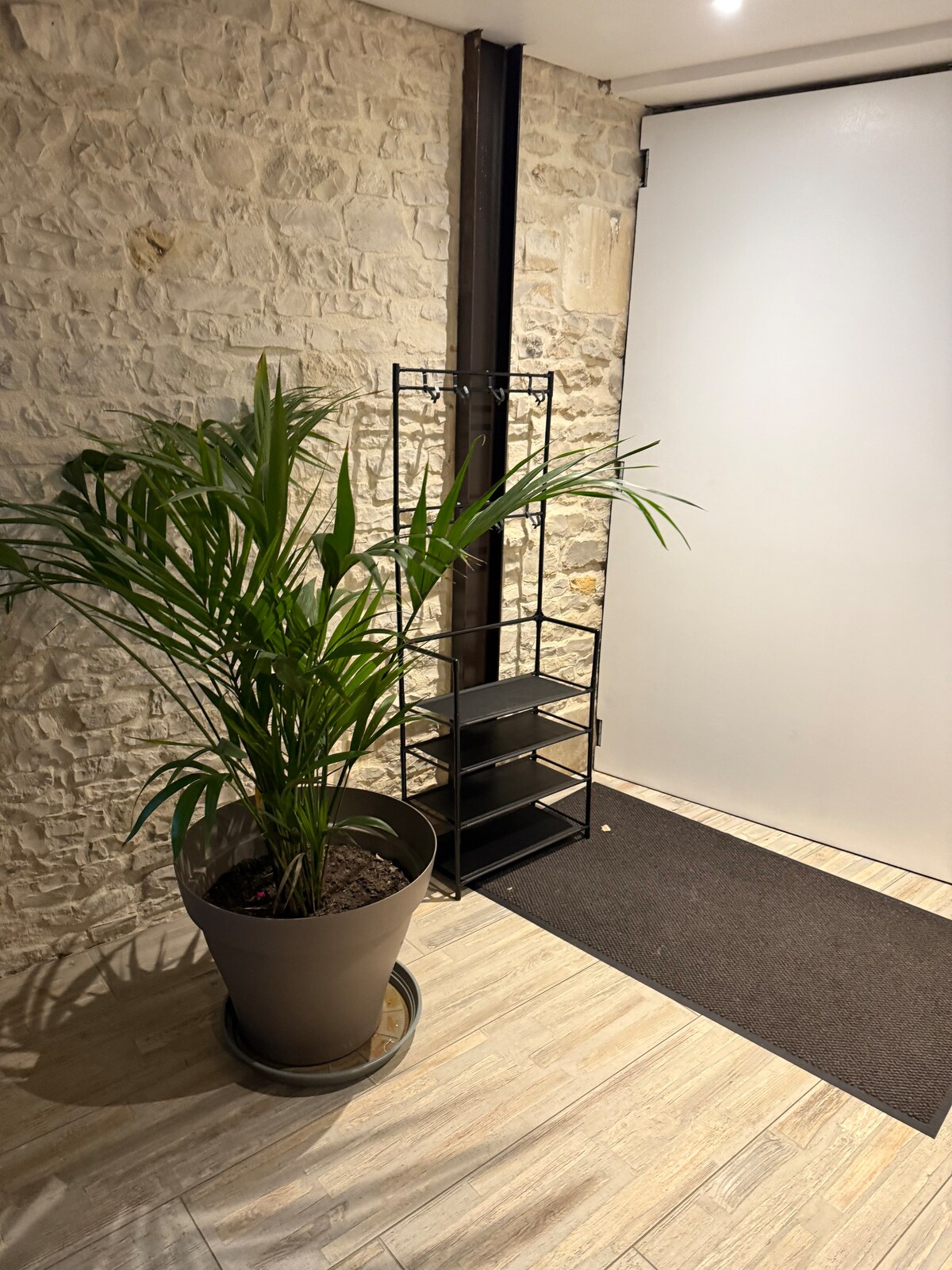 Une plante verte devant un mur en pierre du Chai