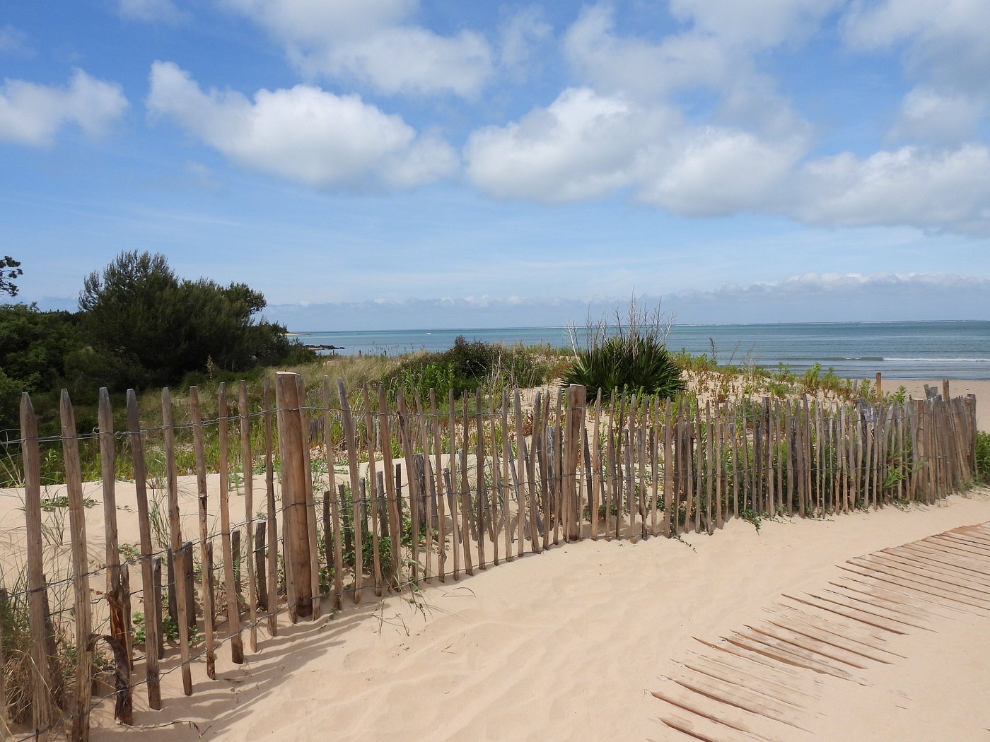 Plage des Saumonards derrière les ganivelles