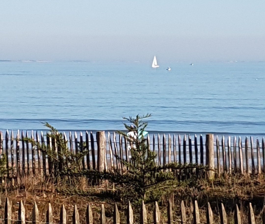 Océan derrière les ganivelles
