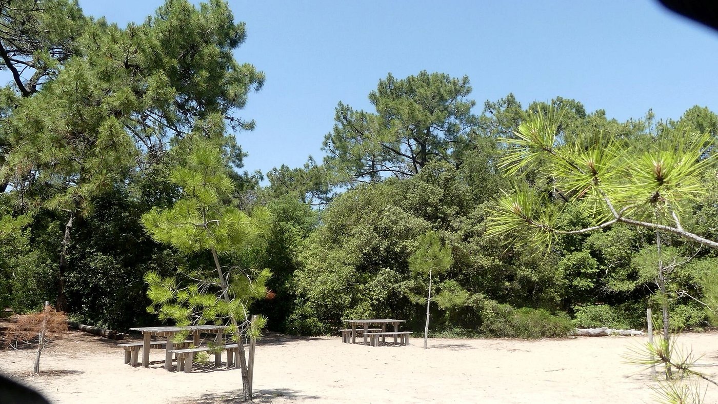 Pinède et aire de promenade près de la plage