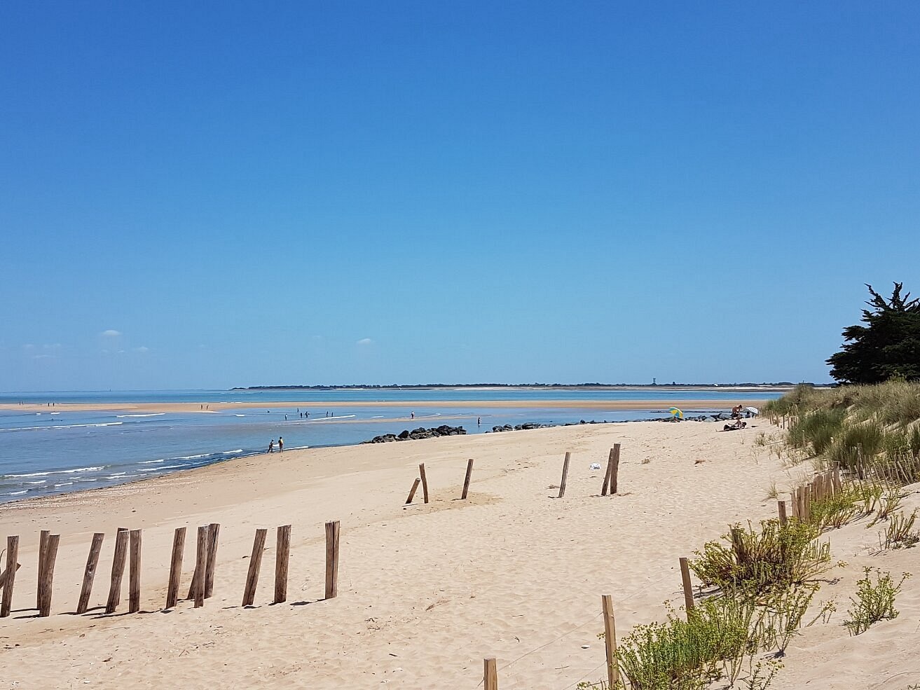 Vue lumineuse sur la plage près de Boyardville